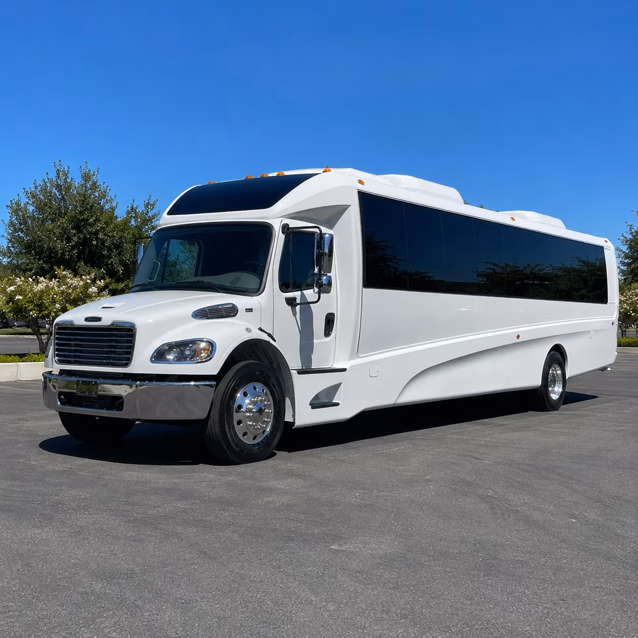 lake elsinore 18 passenger minibus