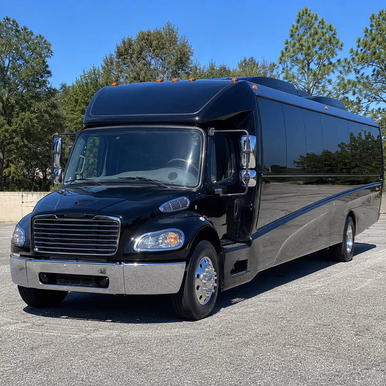 lake elsinore 20 passenger minibus