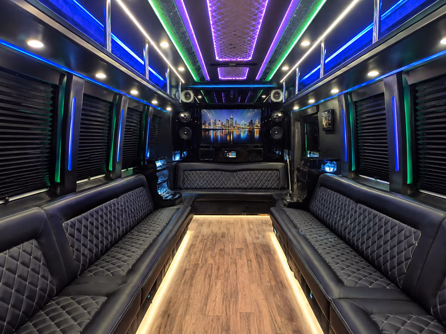 lake elsinore 25 passenger party bus interior