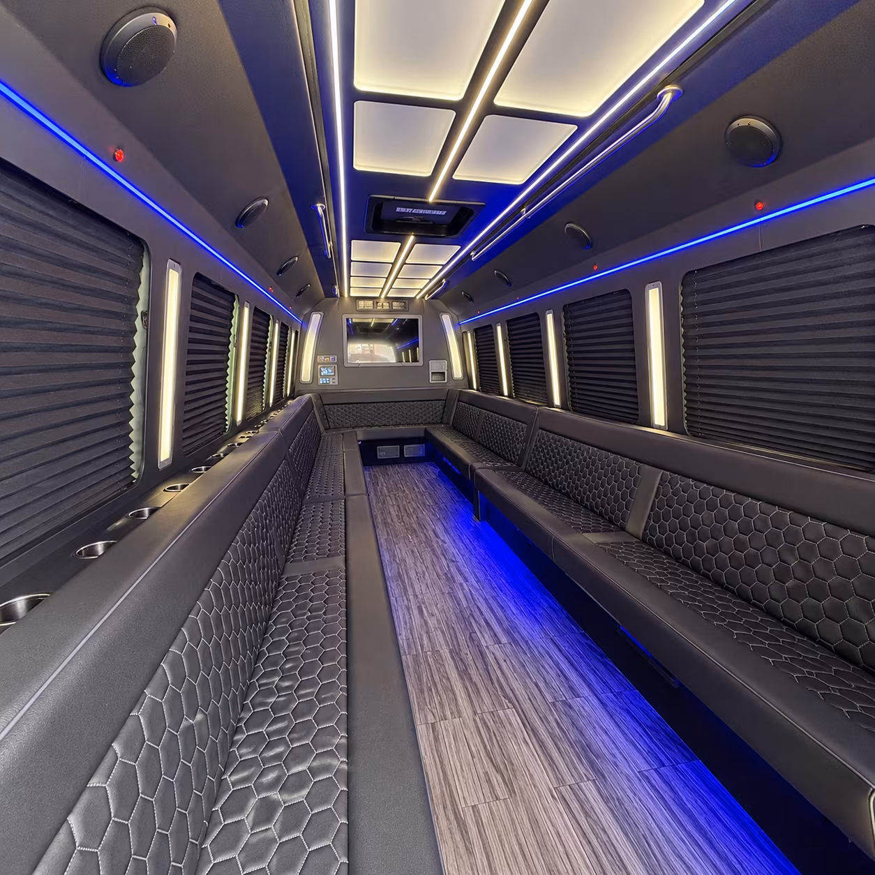 lake elsinore 30 passenger party bus interior