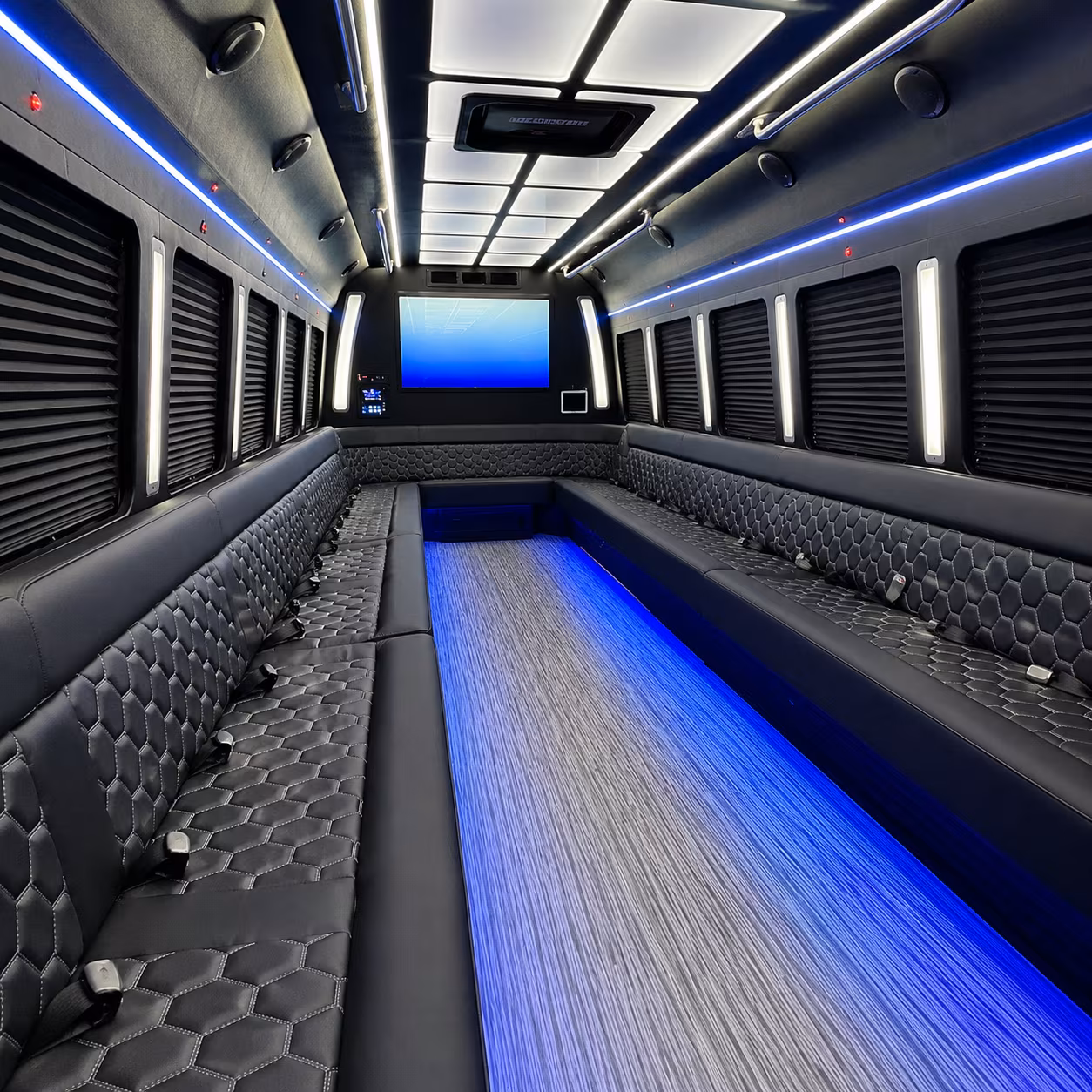 lake elsinore 50 passenger party bus inside