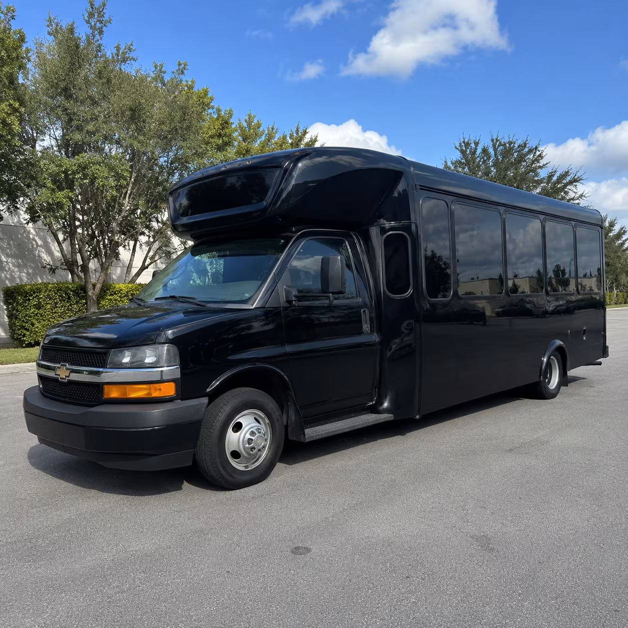 lake elsinore birthday party bus rental