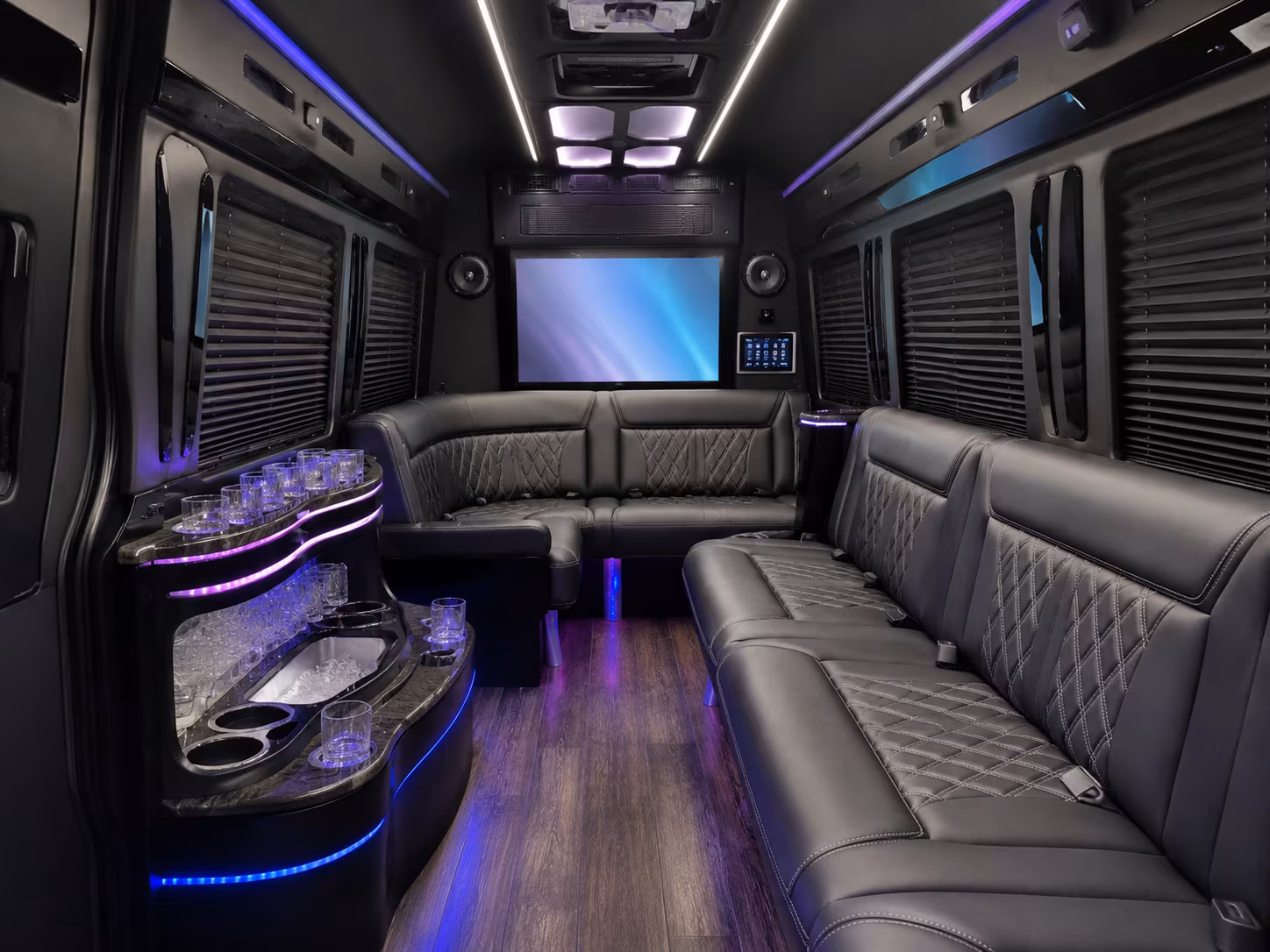 lake elsinore sprinter limousine interior
